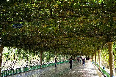 重新整合 原生Twitch直播功能将回归Xbox平台